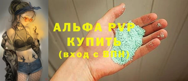PSILOCYBIN Каменногорск