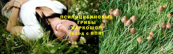 бошки Каменск-Шахтинский