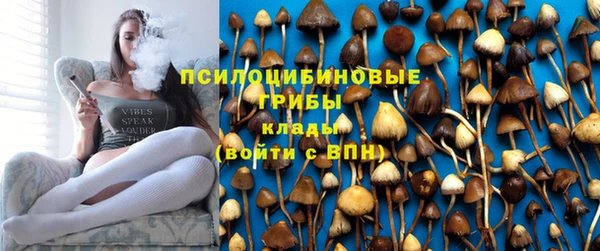 бошки Каменск-Шахтинский