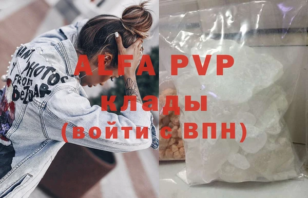 PSILOCYBIN Каменногорск