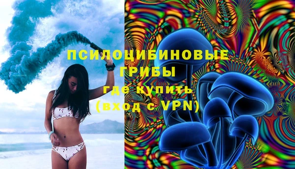 PSILOCYBIN Каменногорск