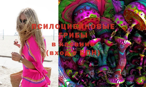PSILOCYBIN Каменногорск
