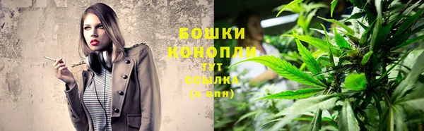 PSILOCYBIN Каменногорск