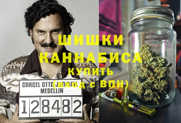 PSILOCYBIN Каменногорск